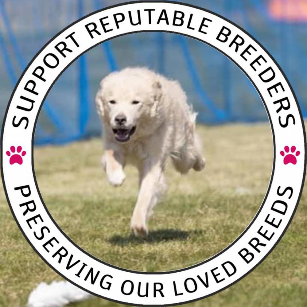 Meet your Posher, Theresa